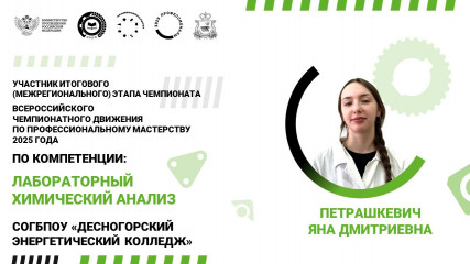 итоговый этап Чемпионат по профессиональному мастерству - фото - 9