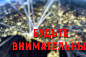 видеоролик о противодействии попыткам вовлечения граждан России в террористическую деятельность "Будьте внимательны !" - фото - 1