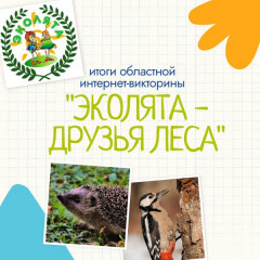 подвели итоги областной интернет-викторины «Эколята – друзья леса» - фото - 1