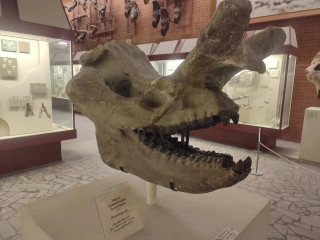 состоялась образовательная экскурсия в Калужскую область и город Москву - фото - 9