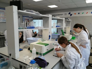 завершение внутреннего отбора Чемпионата по профессиональному мастерству «Профессионалы» - фото - 9