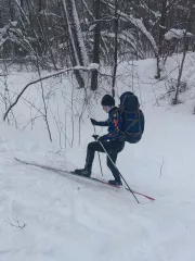 на территории лесопарка Красный бор прошли региональные соревнования по лыжному туризму «Зимний экстрим» - фото - 3