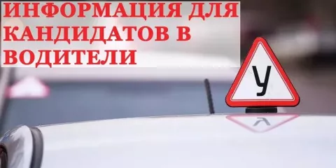 обновлены примерные программы профессионального обучения водителей транспортных средств соответствующих категорий и подкатегорий - фото - 1