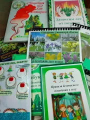 подведены итоги регионального конкурса «Беречь леса – творить добро с Эколятами!», посвященного Международному Дню леса - фото - 1