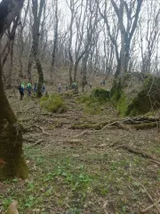 юные смоляне приняли участие во всероссийских соревнованиях по спортивному ориентированию «Памяти топографа Пастухова» - фото - 6