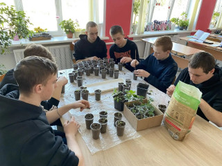 «навигаторы детства» провели мероприятия, приуроченные ко Всемирному дню Земли - фото - 10